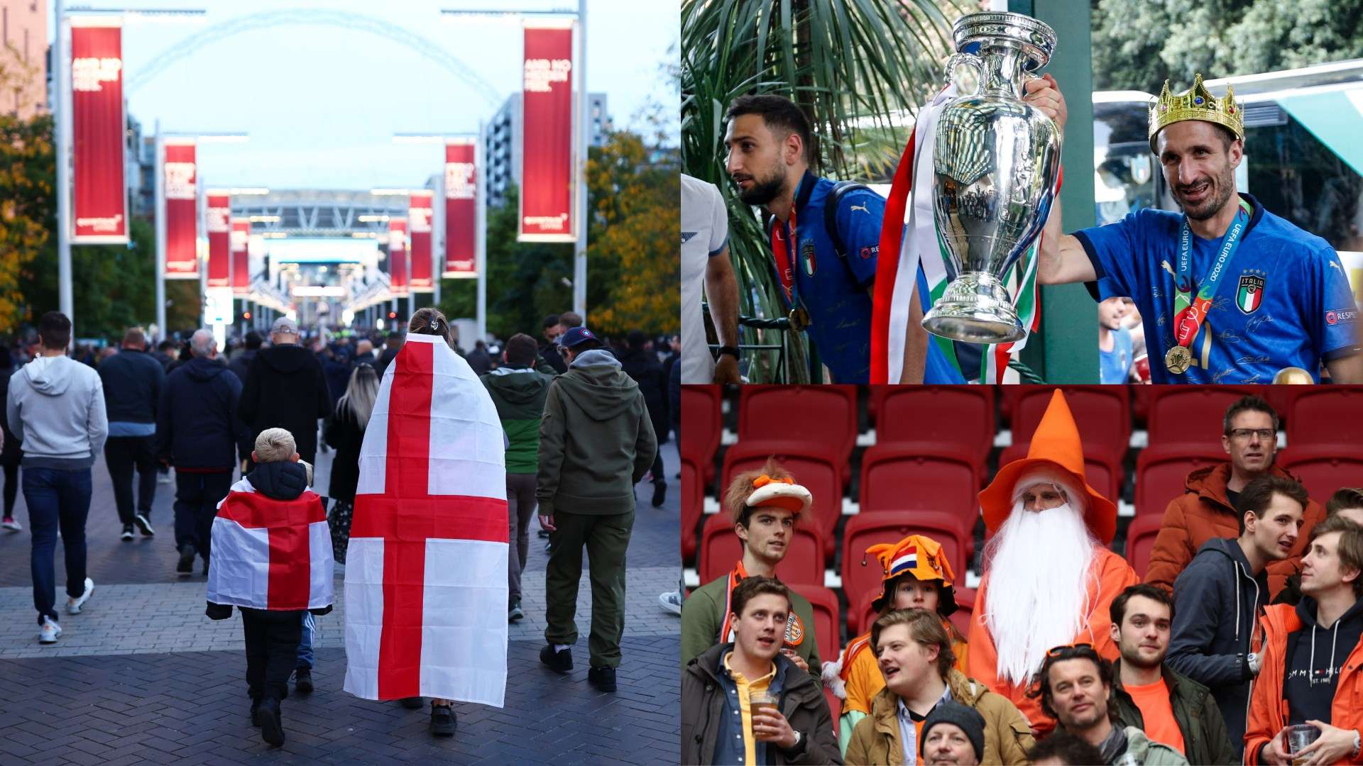 全情投入的 全情投入的